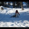 20080120_324
